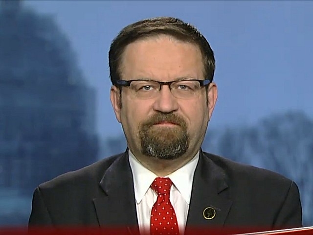 gorka_sebestyen.jpg