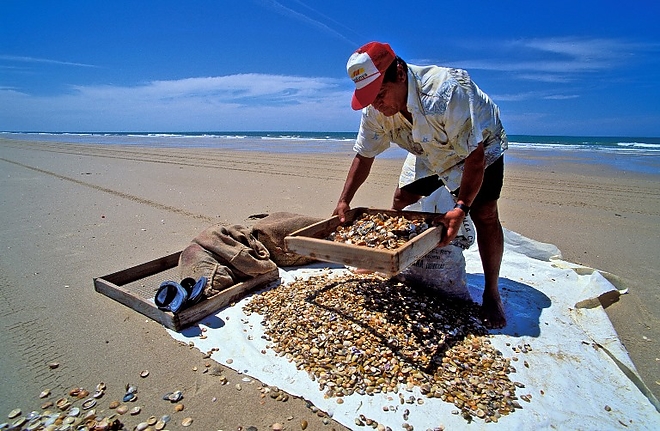 korall_zatony_belize_wwf.jpg korall_zatony_belize_wwf.jpg