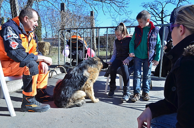 kutyagolas_170225_vcs_01.jpg