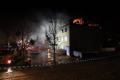 svedmigrans1.jpg