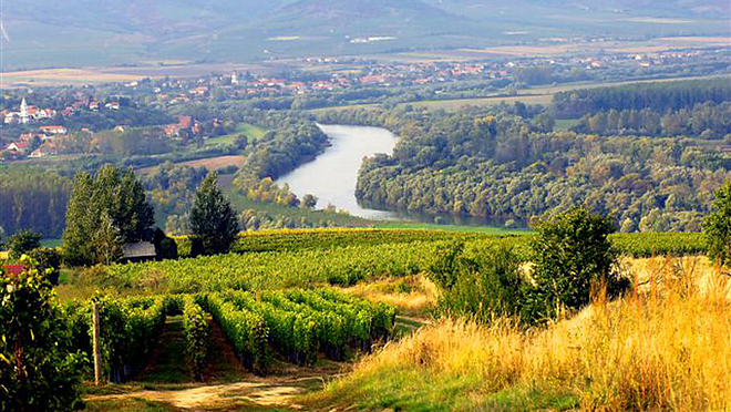 tokaji_borvidek_l_1.jpg