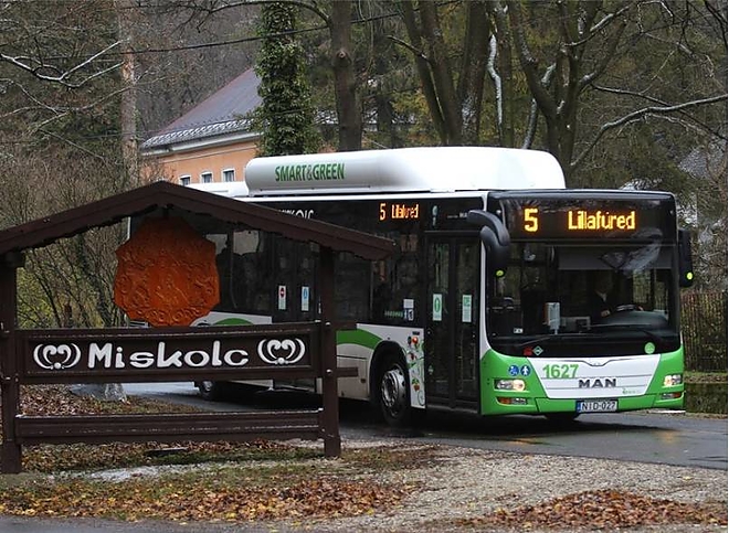 potjegy1.jpg