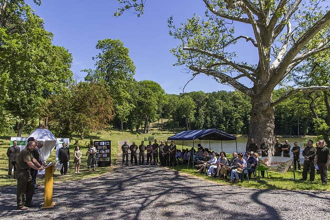arboretumok_napja_2017.jpg
