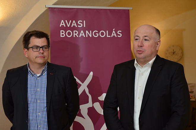 borangolas_170508_vcs_2.jpg