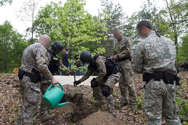 bukkfa_ultetes_kommando_170510ml_33.jpg bukkfa_ultetes_kommando_170510ml_33.jpg