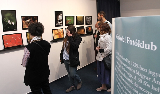 fotoklub_kiallitas_170510ml_19.jpg fotoklub_kiallitas_170510ml_19.jpg