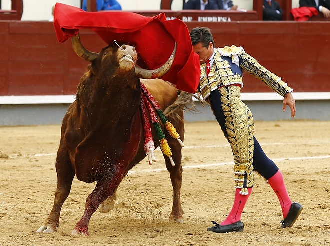 madrid_bull.jpg