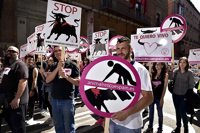 madrid_bull_a.jpg