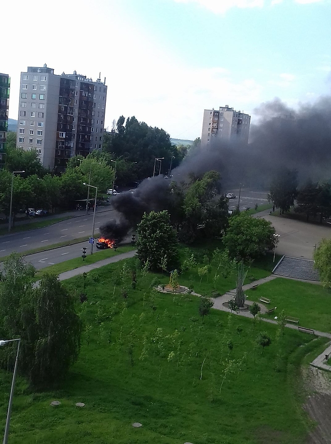 tuz_auto_avas.jpg tuz_auto_avas.jpg
