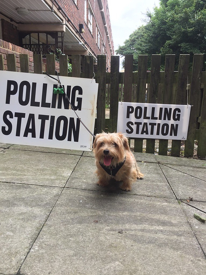 brit_votes.jpg brit_votes.jpg
