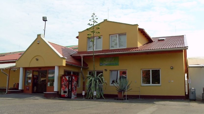 agave1.jpg