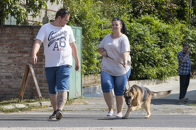 nyilt_nap_az_allategeszsegugyi_telepen_20170826_bl_018_web.jpg nyilt_nap_az_allategeszsegugyi_telepen_20170826_bl_018_web.jpg