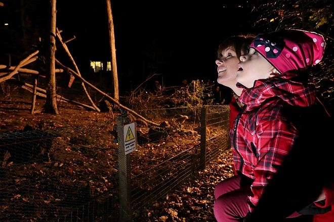 allatkert_halloween_171028ml_22.jpg