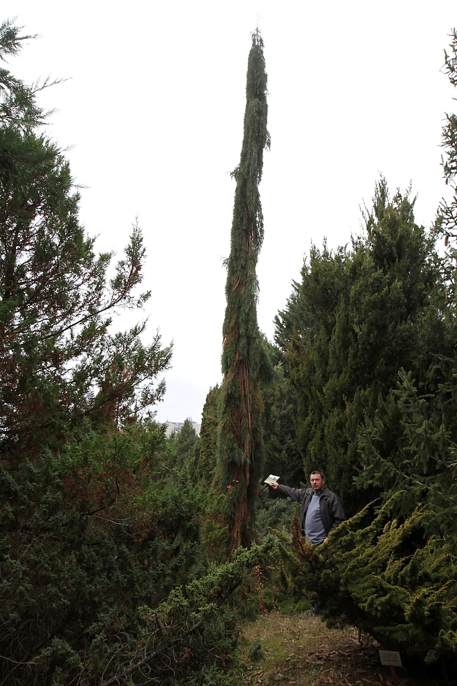 avasi_arboretum_171117_ja_49.jpg