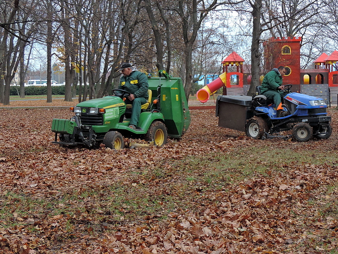 lombszivo_171117_vcs_07.jpg