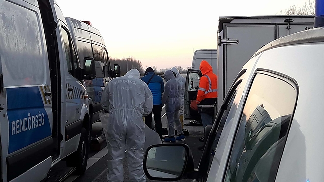 gyilkossag_m5_2.jpg gyilkossag_m5_2.jpg