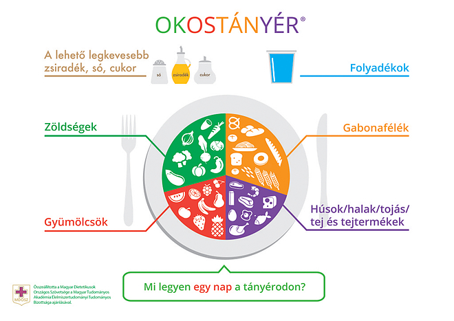 okostanyer.jpg