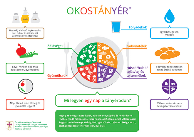 okostanyer2.jpg
