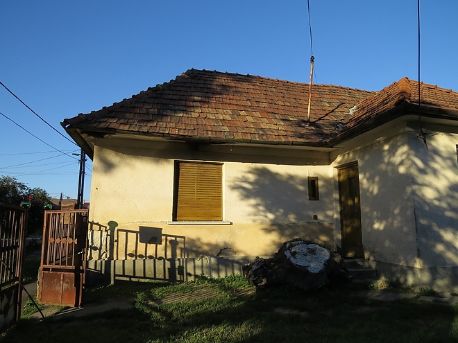 testi_sertes_testverek_kes_fougyeszseg_2.jpg