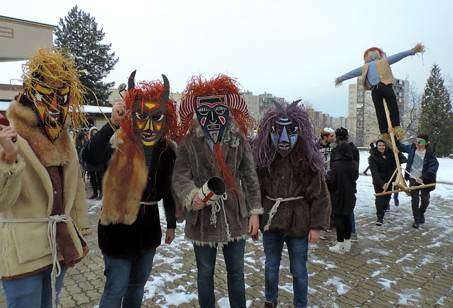 avasi_karneval_180207_vcs_01.jpg