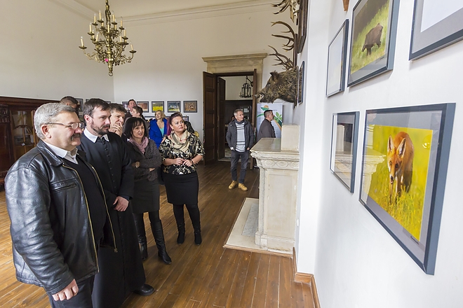 erdei_fotokiallitas2.jpg