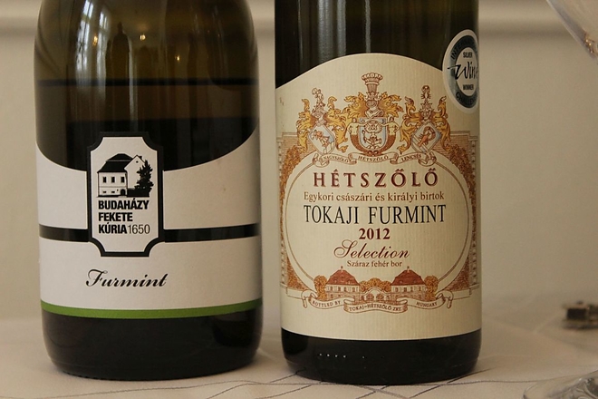 furmint_miskolc_20180207_pr10.jpg