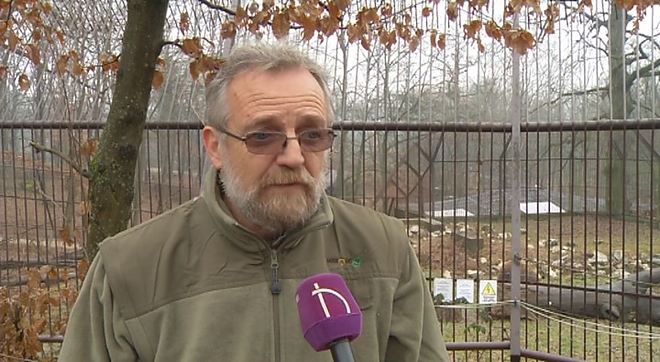 medve_lesen2018_6.jpg
