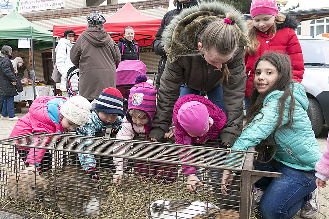 _avasi_husveti_vasar_avasi_dvtk_egeszsegnap_20180325_bl_004_web.jpg