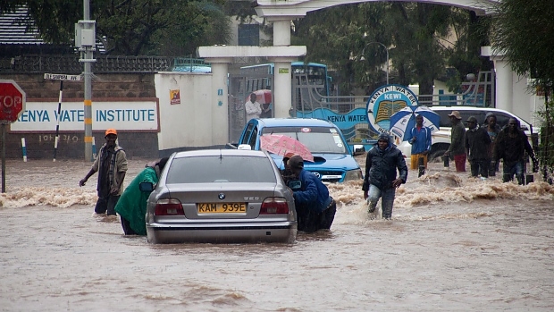 kenya_aradas_arviz.jpg