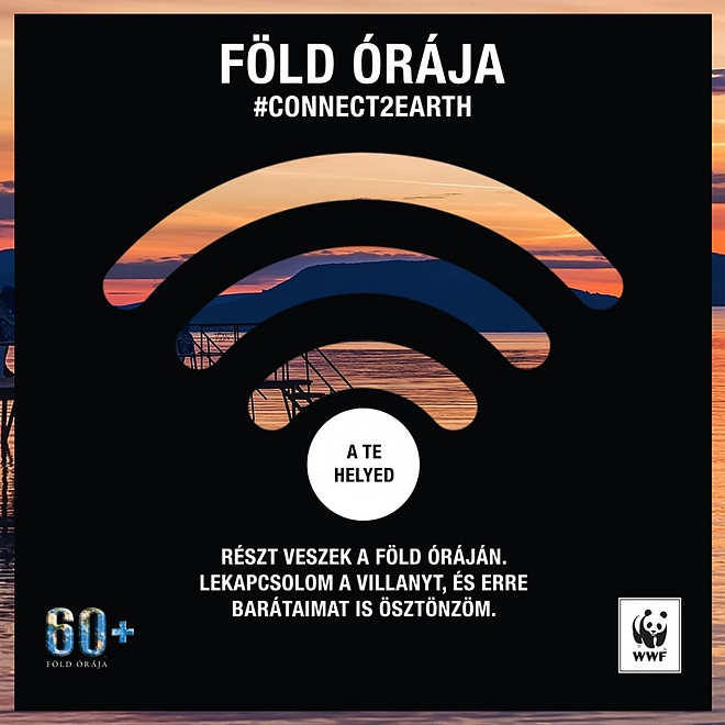 wwf_fold_oraja_elso_kihivas.jpg