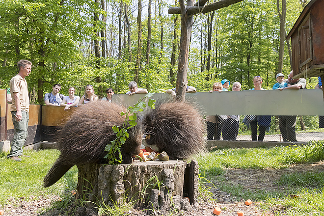 fold_napja_a_miskolci_allatkert_es_kulturparkban20180422_bl_002_web.jpg