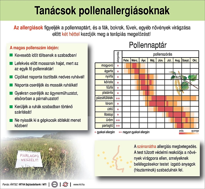 allergia_tablazat_tanacsok.jpg