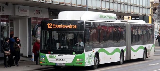 bokik_busz.jpg
