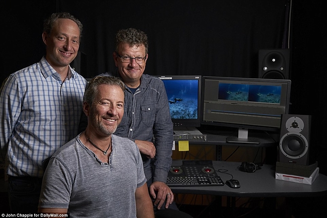 bermuda7.jpg bermuda7.jpg