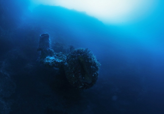 bermuda8.jpg bermuda8.jpg