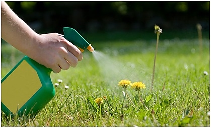 gyomirto.jpg gyomirto.jpg