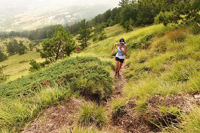 nemeth_luca_mvsi_tajfuto_olaszo.jpg nemeth_luca_mvsi_tajfuto_olaszo.jpg