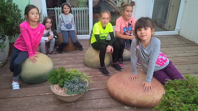 wp_20180928_15_28_05_pro.jpg wp_20180928_15_28_05_pro.jpg