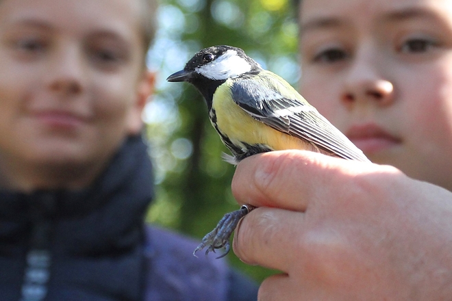 allatkert_181004ml_27.jpg allatkert_181004ml_27.jpg