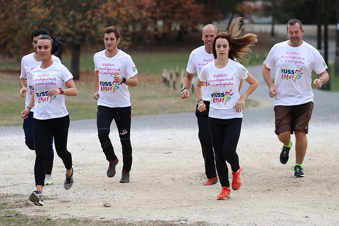 csanyik_kondipark_181018ml_4.jpg csanyik_kondipark_181018ml_4.jpg