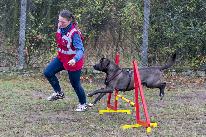 miskolci_ebnevelde_kutyaiskola_20181027_bl_003_web.jpg