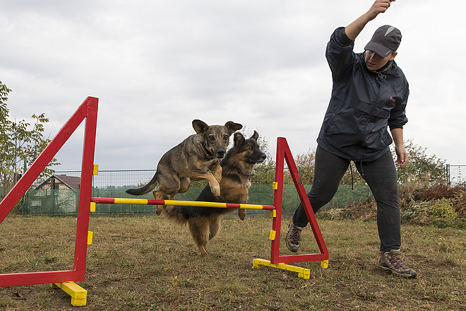 miskolci_ebnevelde_kutyaiskola_20181027_bl_023_web.jpg miskolci_ebnevelde_kutyaiskola_20181027_bl_023_web.jpg