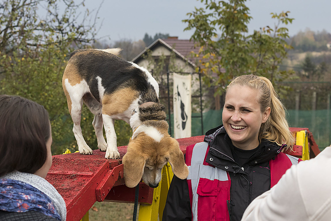 miskolci_ebnevelde_kutyaiskola_20181027_bl_024_web.jpg miskolci_ebnevelde_kutyaiskola_20181027_bl_024_web.jpg