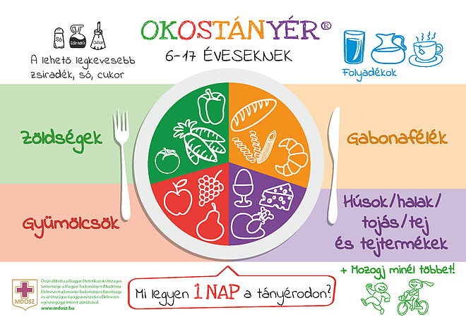 okostanyer.png okostanyer.png