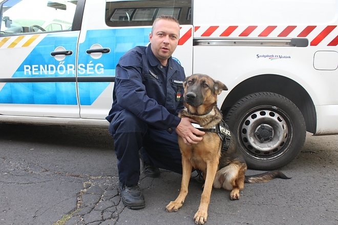 selbi_rendorkutya_rablo.jpg selbi_rendorkutya_rablo.jpg