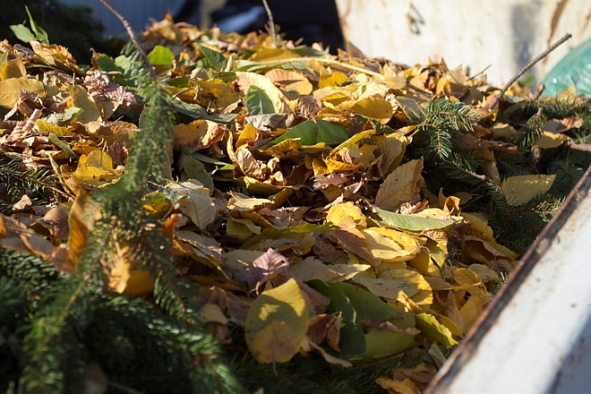 zoldhulladek_181015ml_9.jpg zoldhulladek_181015ml_9.jpg