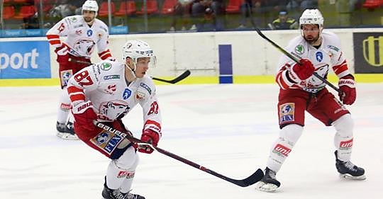 dvtk_jegesmedvek.jpg dvtk_jegesmedvek.jpg