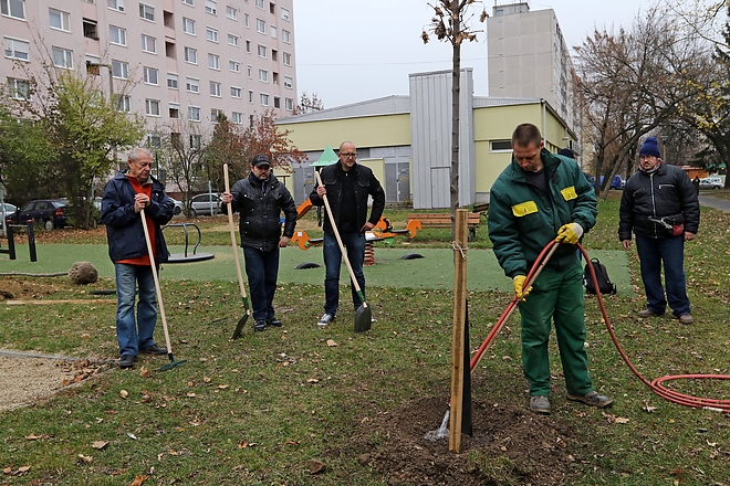 faultetes_gyori_kapui_kapuzorgetok_181119_ja_3.jpg faultetes_gyori_kapui_kapuzorgetok_181119_ja_3.jpg