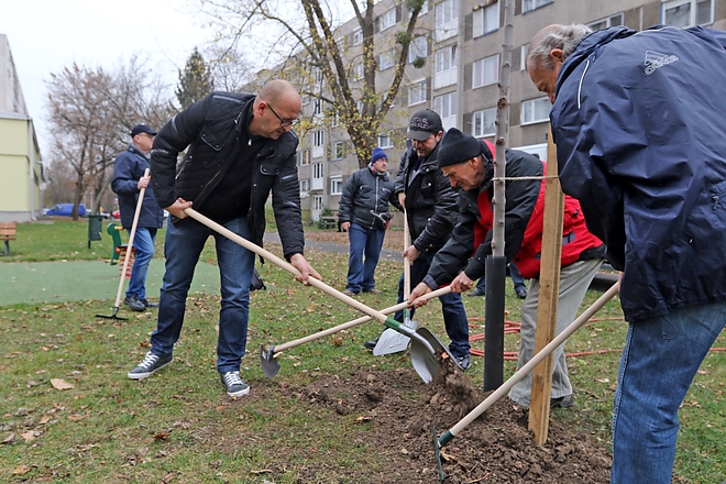 faultetes_gyori_kapui_kapuzorgetok_181119_ja_4.jpg faultetes_gyori_kapui_kapuzorgetok_181119_ja_4.jpg