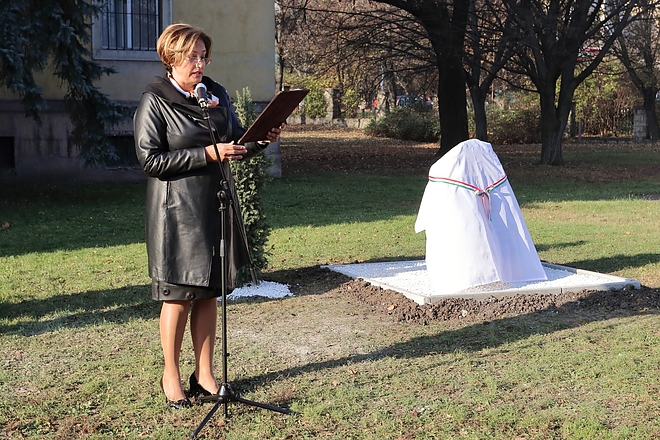 ferenczy_nap_megyei_181114ml_13.jpg ferenczy_nap_megyei_181114ml_13.jpg